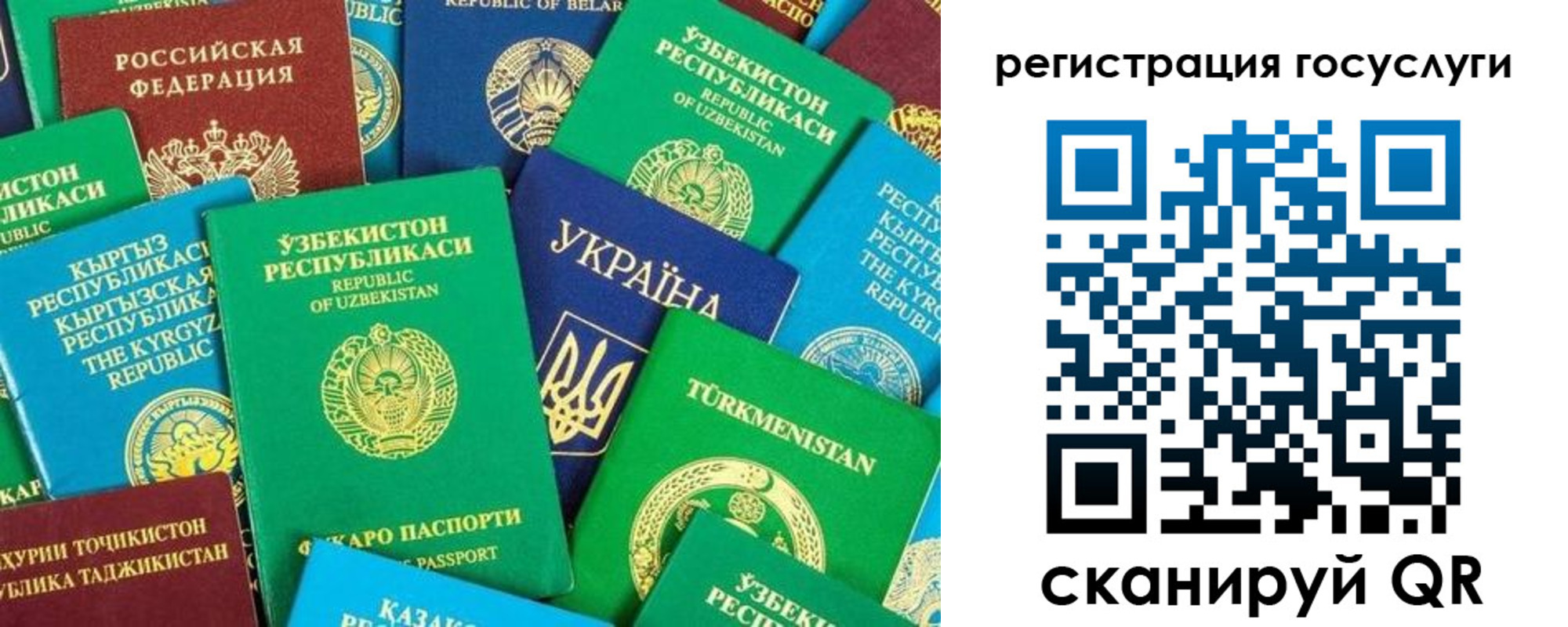 временная регистрация купить в Благодарном